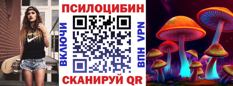 как найти закладки Нарткала Псилоцибиновые грибы Psilocybine cubensis